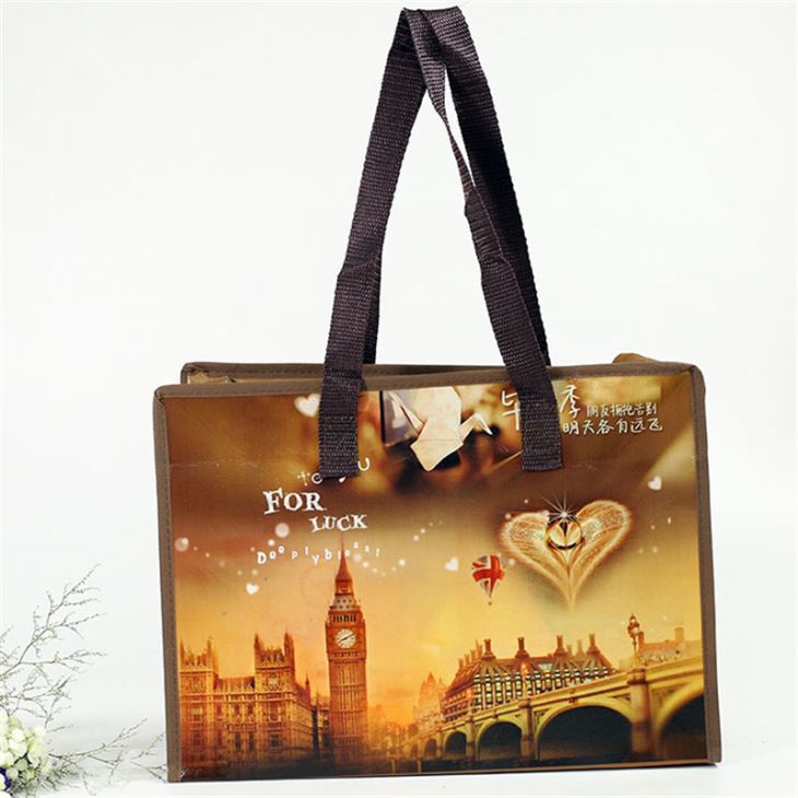 Common Use Zipper Non Woven Bag Make You Life More Convenient